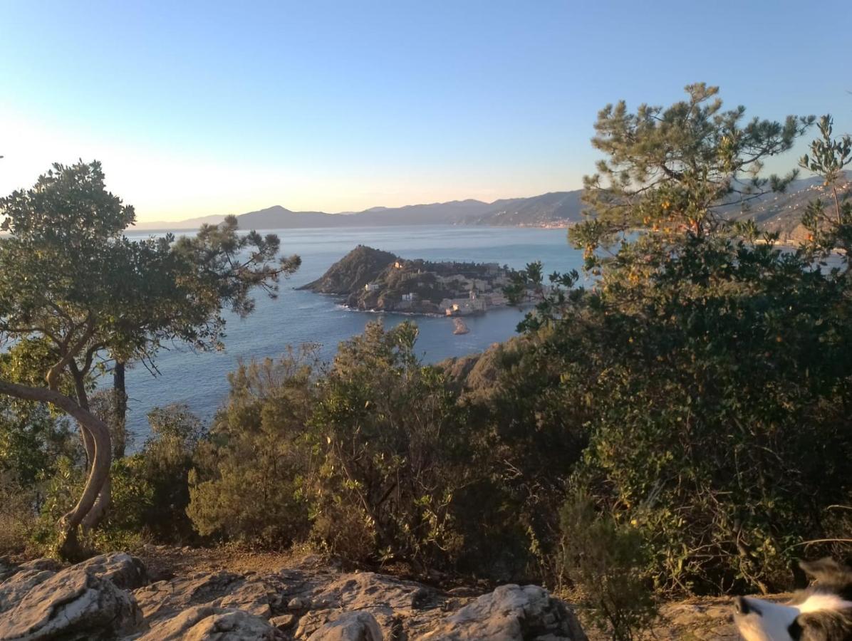 Casa Caterina Setri Levante Sestri Levante Exterior foto